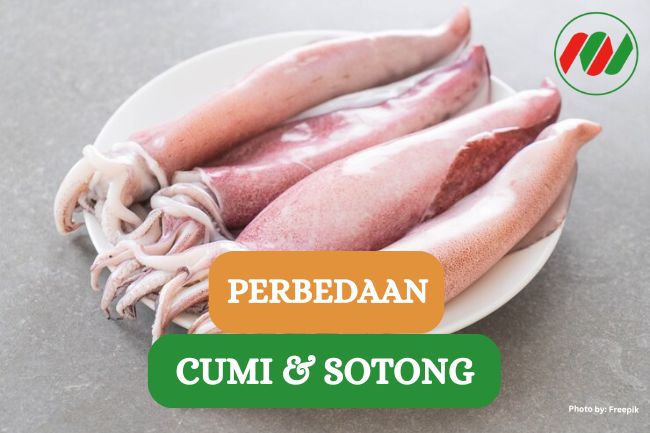 Ini Dia 4 Perbedaan Cumi dan Sotong yang Paling Mencolok